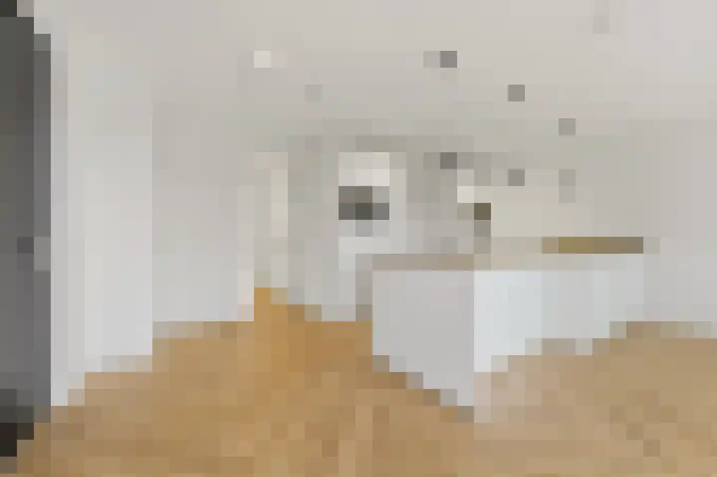 Bronovolaan 1 B 3 Den Haag thumbnail 17
