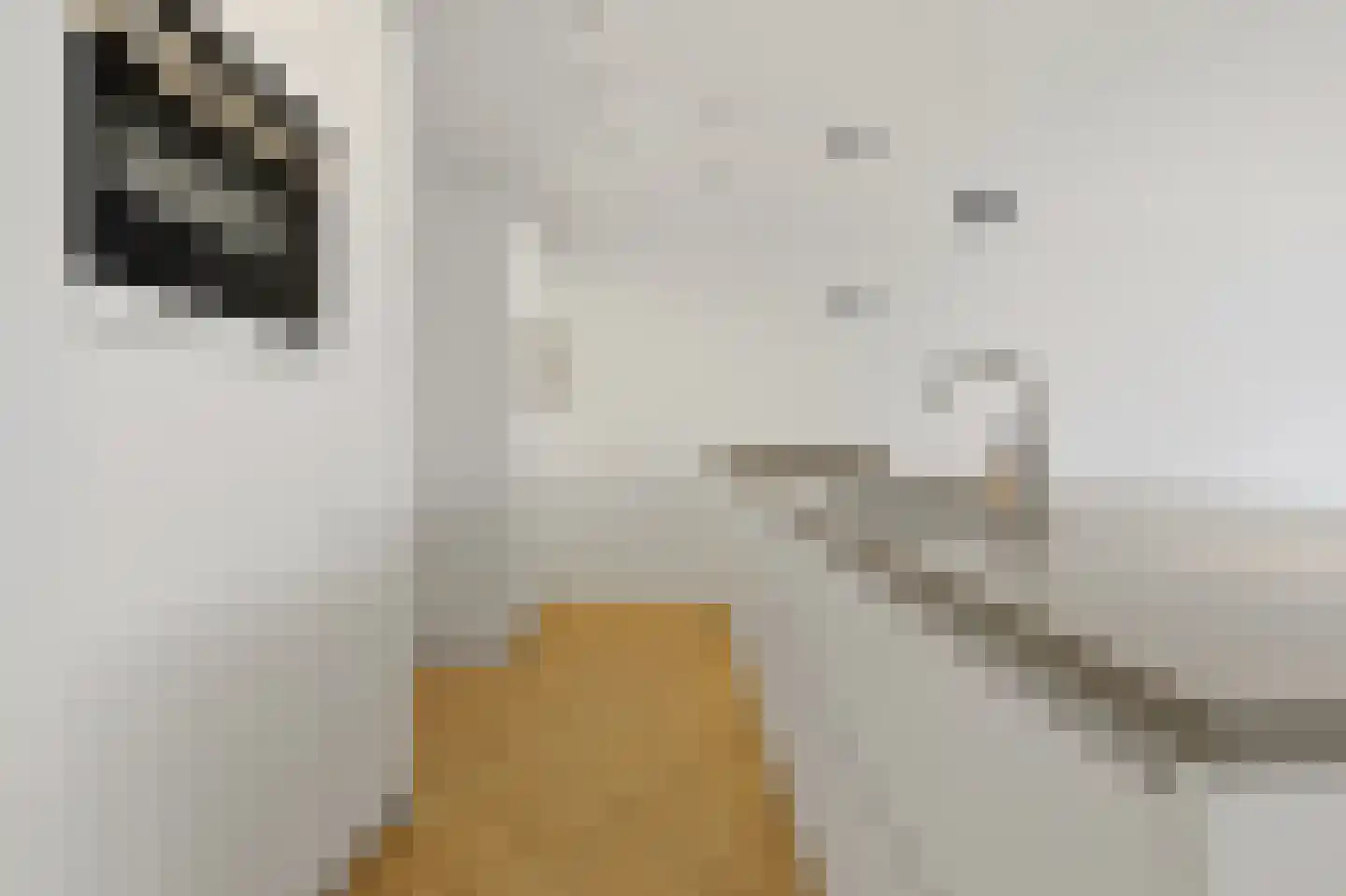 Bronovolaan 1 B 3 Den Haag thumbnail 19