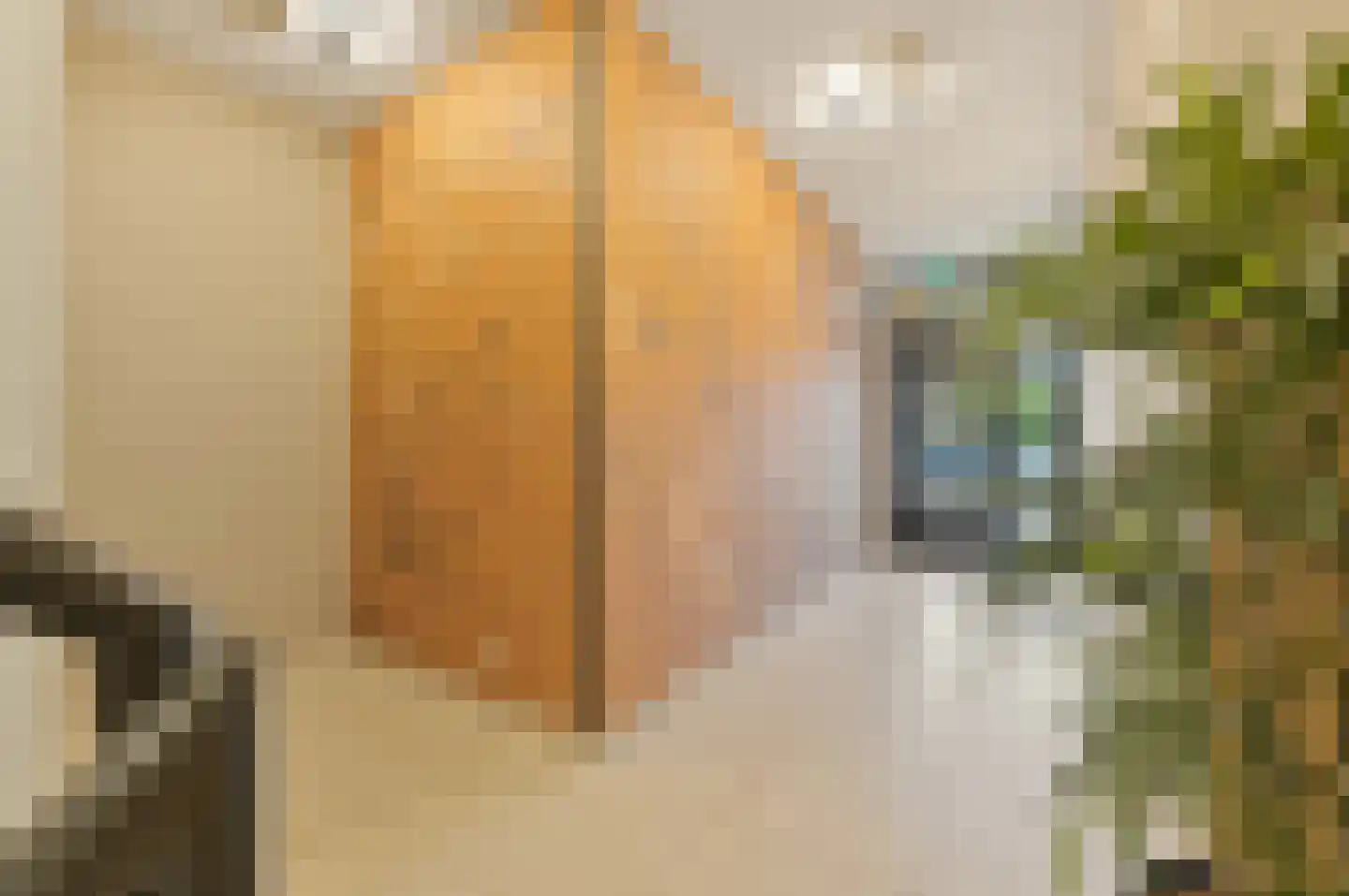 Bronovolaan 1 B 3 Den Haag thumbnail 7