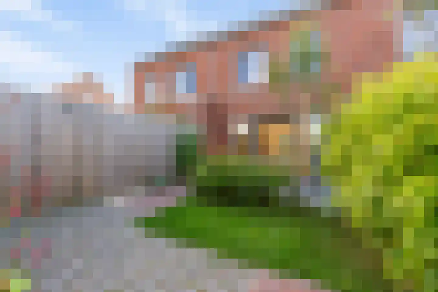 Brons 44 Arnhem thumbnail 27