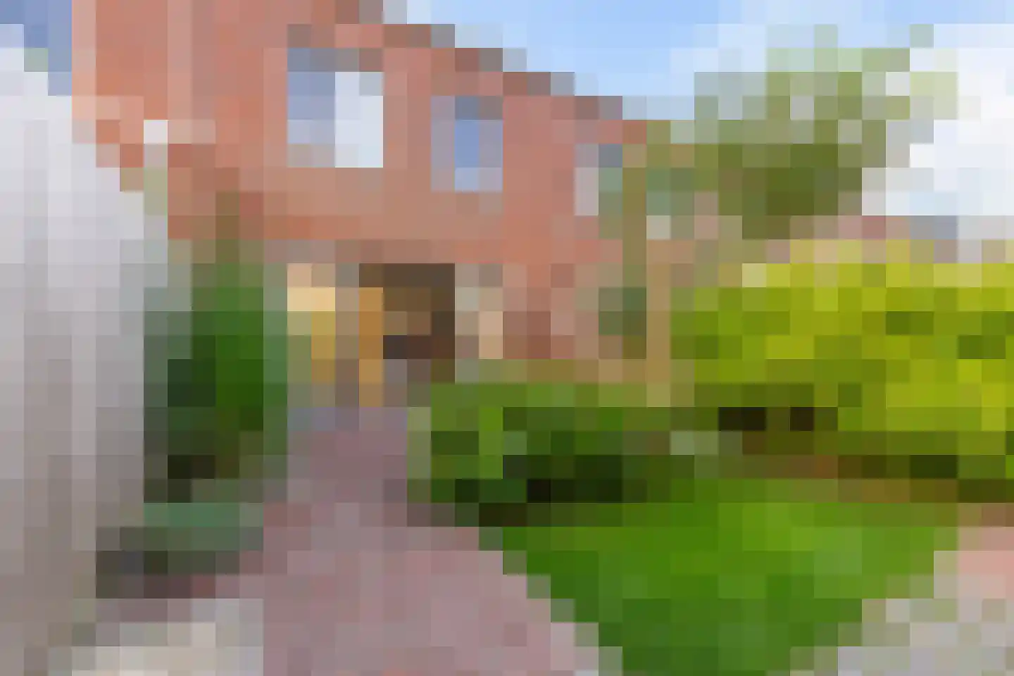 Brons 44 Arnhem thumbnail 28