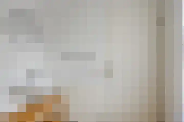 Bronsbergen 25 r 109 Zutphen thumbnail 17
