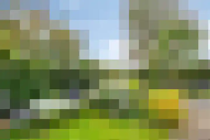 Bronsbergen 25 r 109 Zutphen thumbnail 30