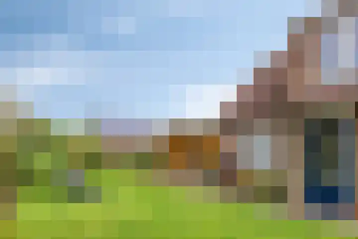 Bronsbergen 25 r 109 Zutphen thumbnail 31