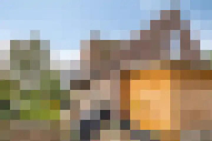 Bronsbergen 25 r 109 Zutphen thumbnail 33