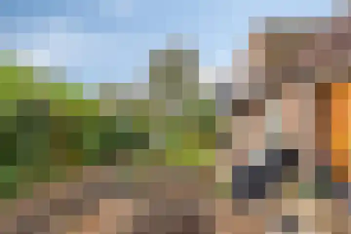 Bronsbergen 25 r 109 Zutphen thumbnail 34