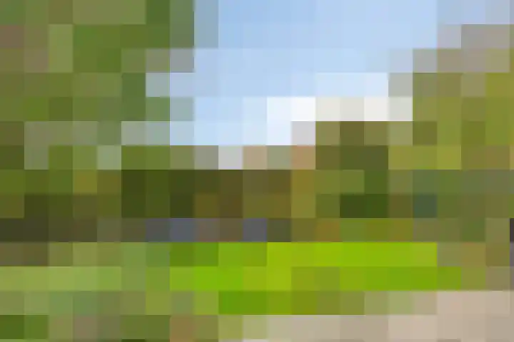 Bronsbergen 25 r 109 Zutphen thumbnail 35