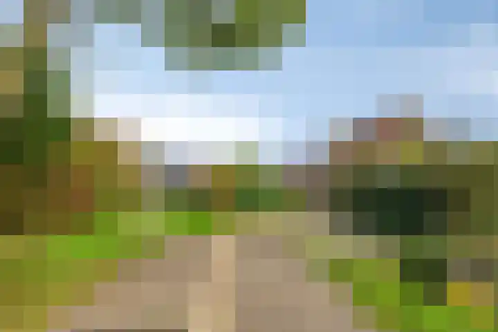 Bronsbergen 25 r 109 Zutphen thumbnail 36