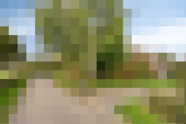 Bronsbergen 25 r 109 Zutphen thumbnail 37