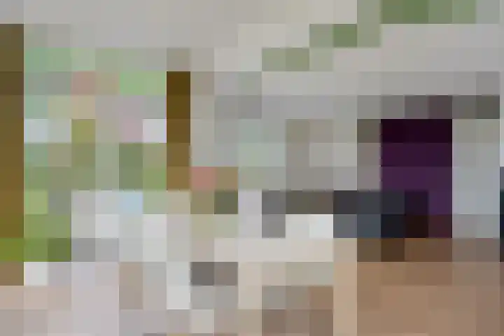 Bronsbergen 25 r 109 Zutphen thumbnail 6