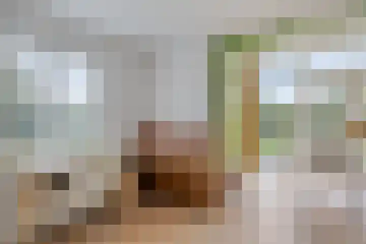 Bronsbergen 25 r 109 Zutphen thumbnail 9