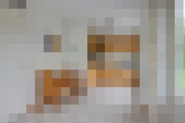 Bronsbergen 25 r 117 Zutphen thumbnail 10