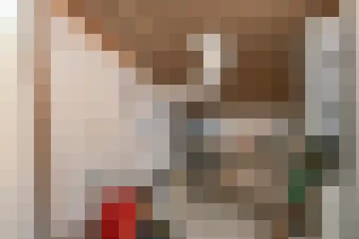Bronsbergen 25 r 117 Zutphen thumbnail 20