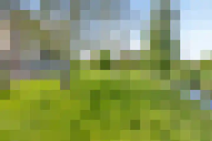 Bronsbergen 25 r 117 Zutphen thumbnail 25