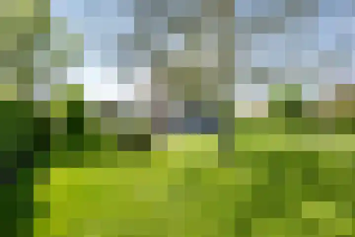Bronsbergen 25 r 117 Zutphen thumbnail 26