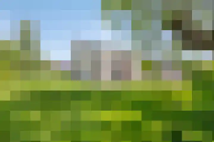 Bronsbergen 25 r 117 Zutphen thumbnail 27