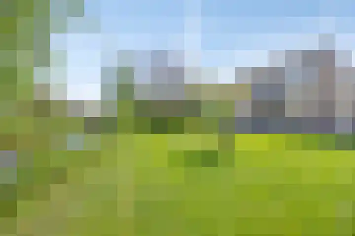 Bronsbergen 25 r 117 Zutphen thumbnail 31
