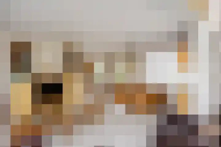Bronsbergen 25 r 117 Zutphen thumbnail 7