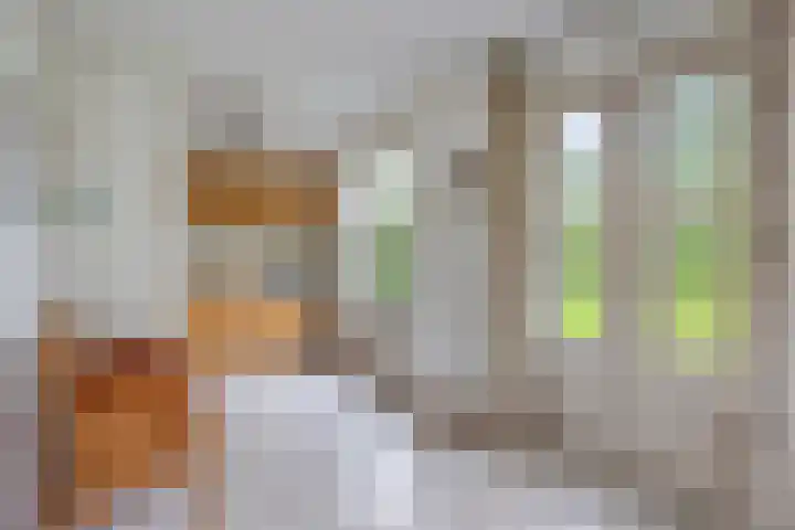 Bronsbergen 25 r 117 Zutphen thumbnail 9