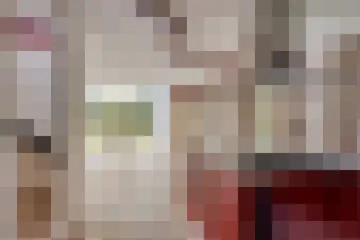 Bronsbergen 25 r 196 Zutphen thumbnail 19