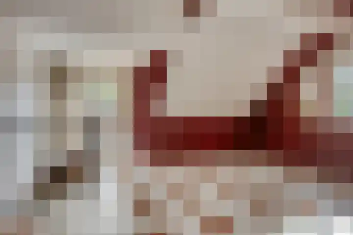 Bronsbergen 25 r 196 Zutphen thumbnail 23