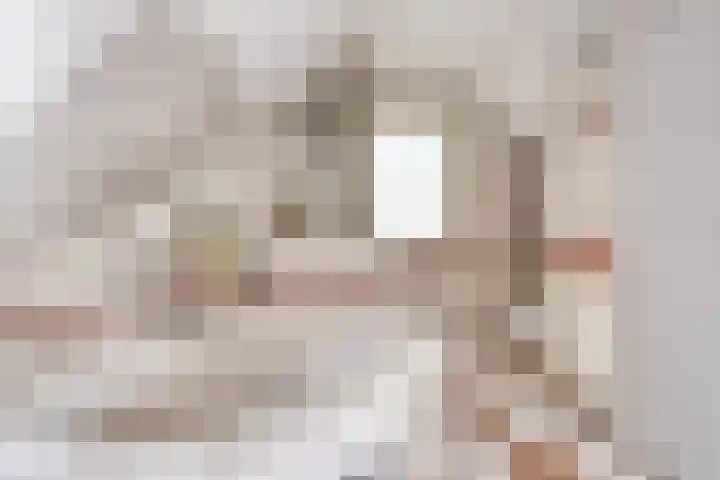 Bronsbergen 25 r 196 Zutphen thumbnail 26