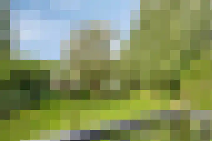 Bronsbergen 25 r 196 Zutphen thumbnail 33