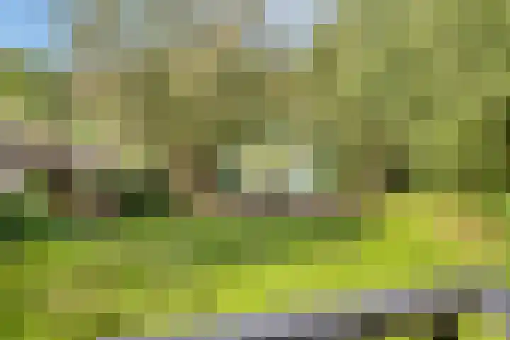 Bronsbergen 25 r 196 Zutphen thumbnail 34