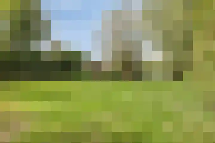 Bronsbergen 25 r 196 Zutphen thumbnail 35