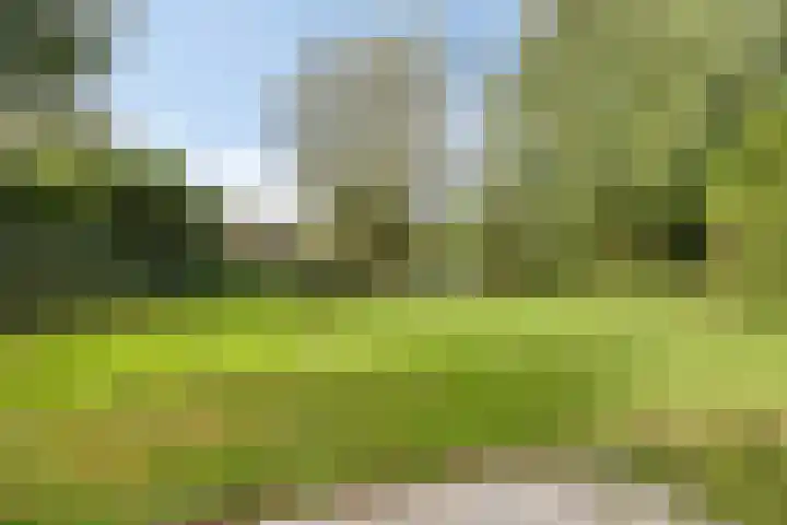 Bronsbergen 25 r 196 Zutphen thumbnail 36