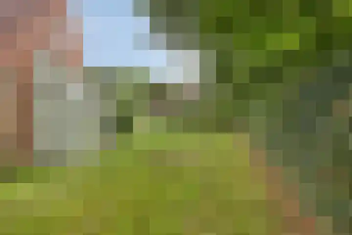 Bronsbergen 25 r 196 Zutphen thumbnail 37