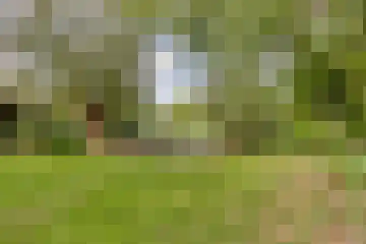 Bronsbergen 25 r 196 Zutphen thumbnail 38