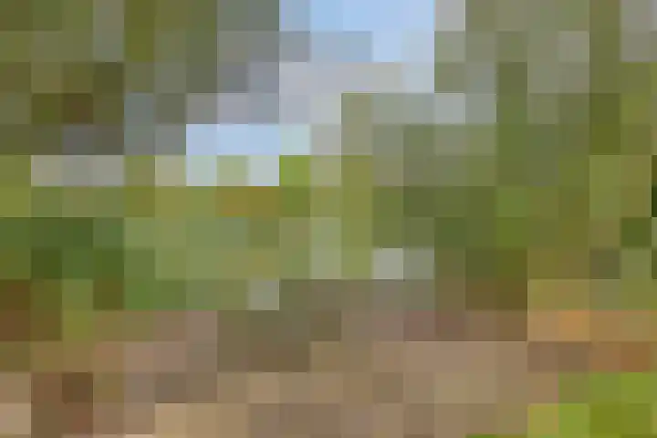 Bronsbergen 25 r 196 Zutphen thumbnail 39