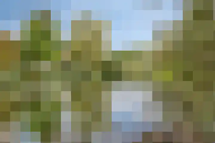 Bronsbergen 25 r 196 Zutphen thumbnail 40