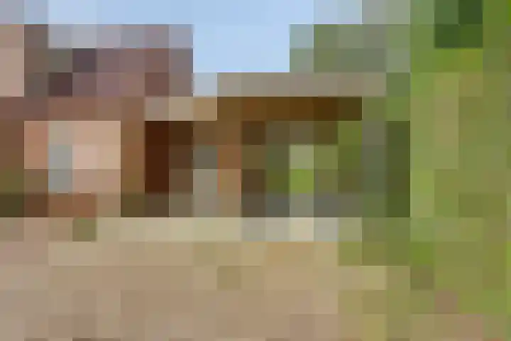 Bronsbergen 25 r 196 Zutphen thumbnail 43