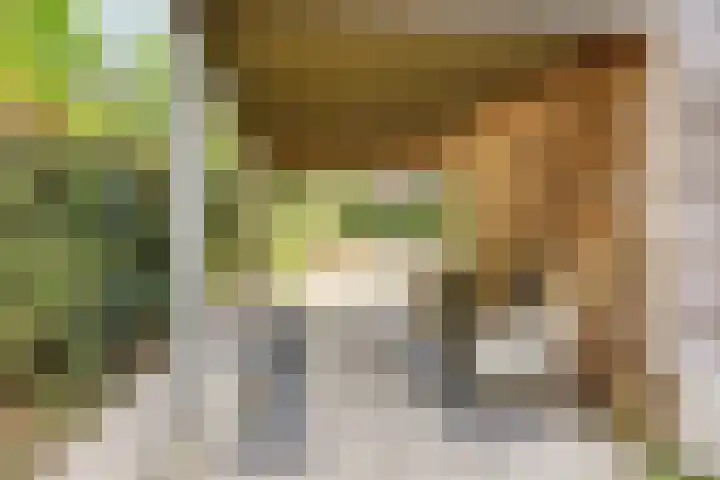 Bronsbergen 25 r 196 Zutphen thumbnail 44