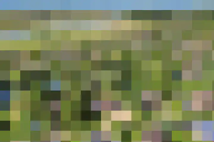 Bronsbergen 25 r 196 Zutphen thumbnail 47