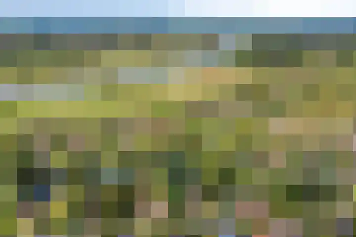 Bronsbergen 25 r 196 Zutphen thumbnail 48