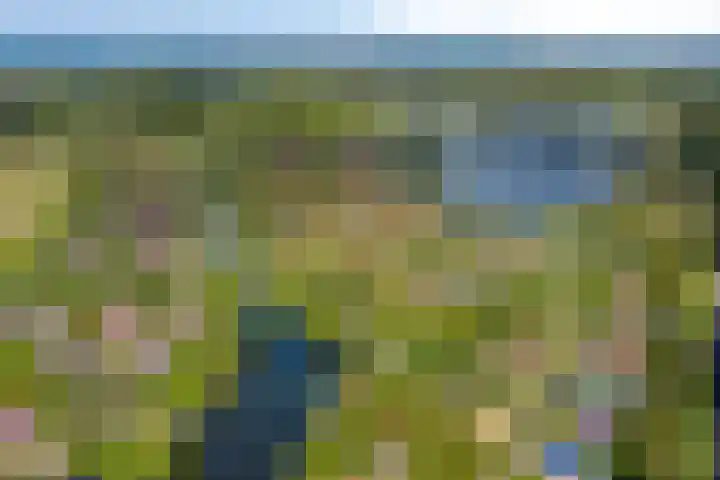 Bronsbergen 25 r 196 Zutphen thumbnail 49