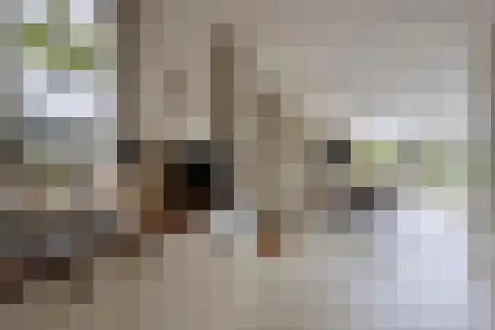 Bronsbergen 25 r 203 Zutphen thumbnail 11