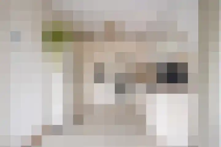 Bronsbergen 25 r 203 Zutphen thumbnail 12