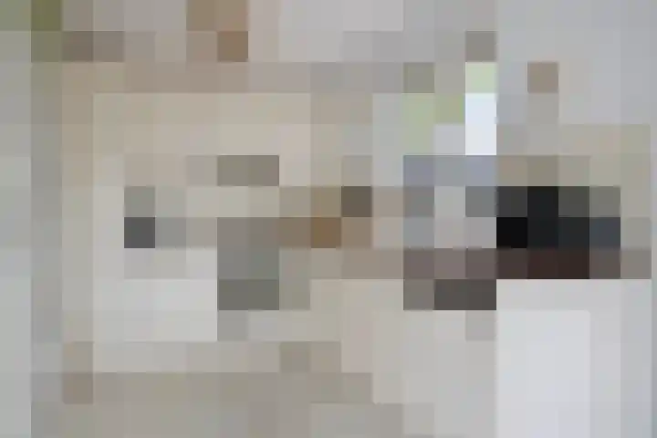 Bronsbergen 25 r 203 Zutphen thumbnail 13