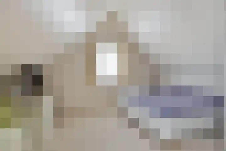 Bronsbergen 25 r 203 Zutphen thumbnail 20