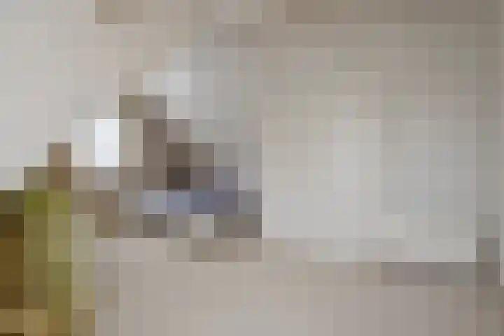 Bronsbergen 25 r 203 Zutphen thumbnail 23