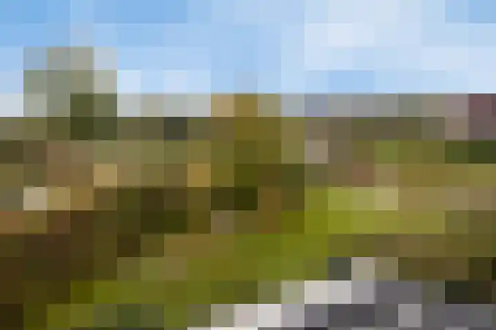 Bronsbergen 25 r 203 Zutphen thumbnail 25