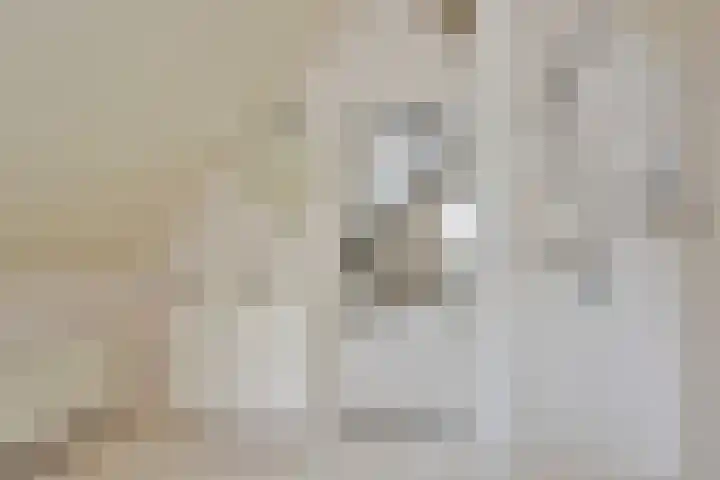 Bronsbergen 25 r 203 Zutphen thumbnail 26