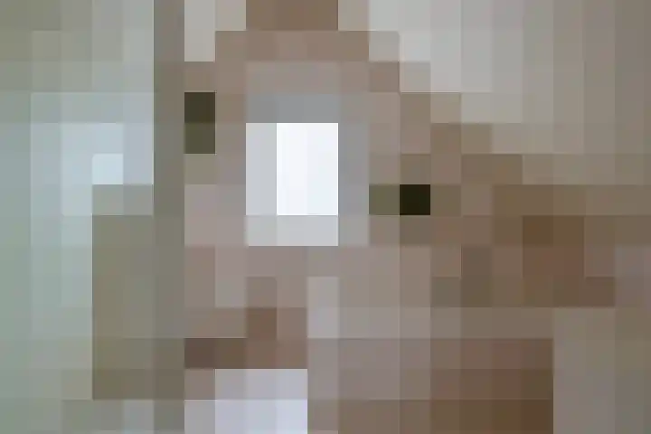 Bronsbergen 25 r 203 Zutphen thumbnail 27