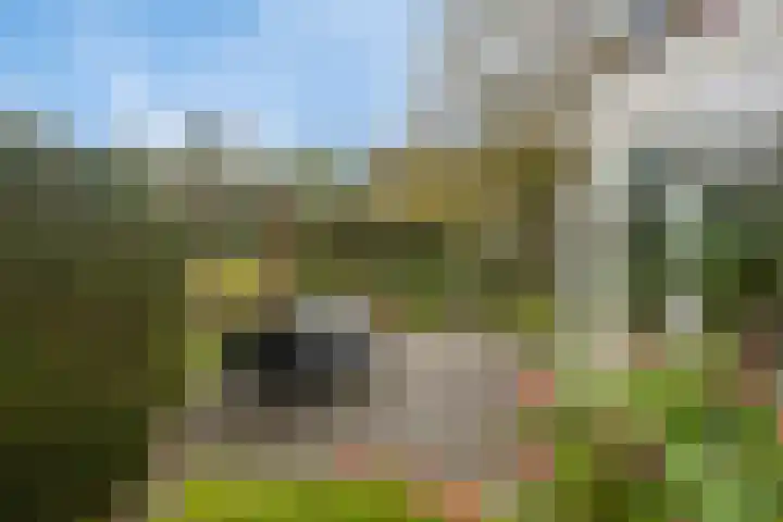 Bronsbergen 25 r 203 Zutphen thumbnail 32