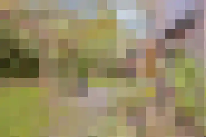 Bronsbergen 25 r 203 Zutphen thumbnail 33
