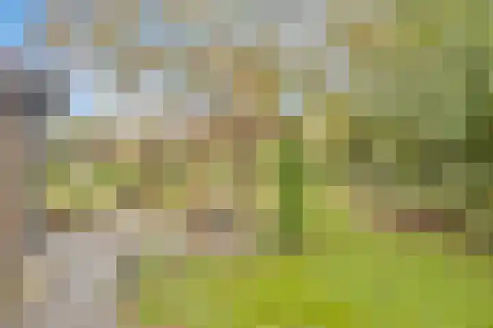 Bronsbergen 25 r 203 Zutphen thumbnail 34
